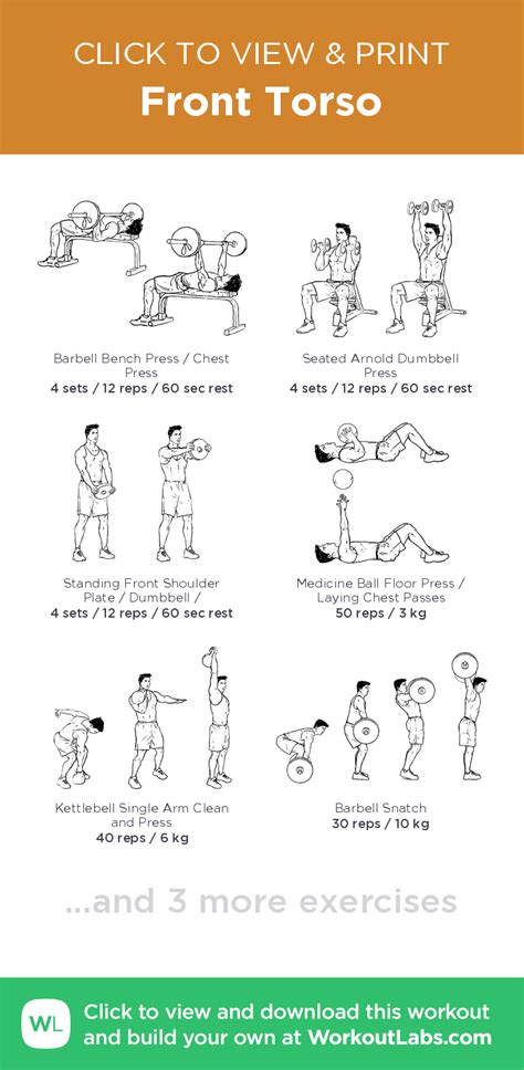 Front Torso Click To View And Print This Illustrated Exercise Plan