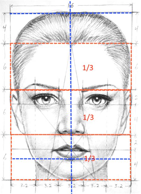 Drawing Tip How To Draw Face Proportions Artofit