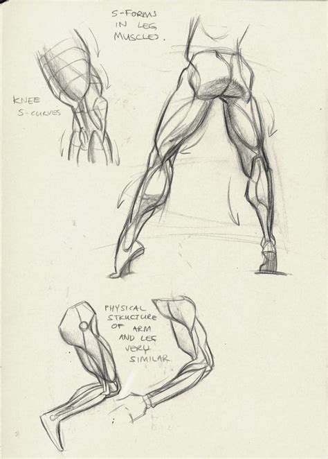 http://tulptorials.blogspot.nl/2014/04/anatomy.html ★ || CHARACTER