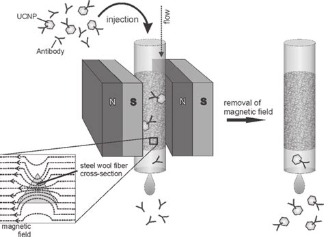 There are many more components in the dsq ii that do not require maintenance, but may need if cleaning the ion volume does not restore system performance, try cleaning the ion source and prefilter. Illustration of the high gradient magnetic separation ...