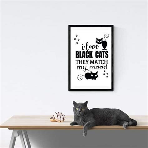 The 30 Funniest Cat Poster Quotes To Hang On Your Walls