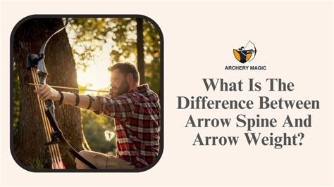 What Is Arrow Spine You Must Know