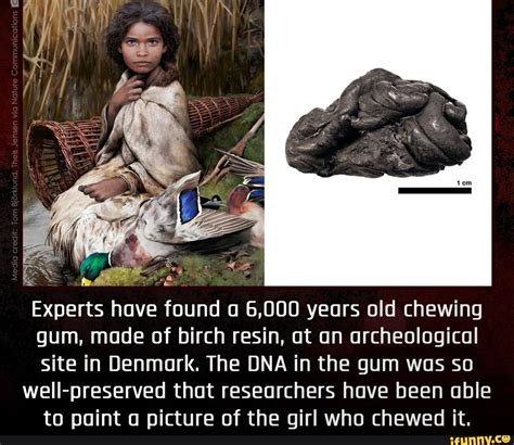 Experts Have Found A 6000 Years Old Chewing Gum Made Of Birch Resin At An Archeological Site