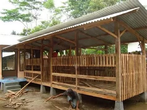 Bisa jadi kambingnya ikutan punya taring, atau malah kambingnya yang dimangsa, mungkin juga. Kandang Kambing Sederhana - Joynim Farm
