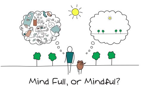 Mindfulness University Health Service