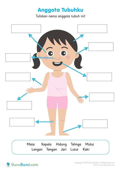 Dinding dari bagian ini dilapisi oleh sel epitel. Pin di kelas 3
