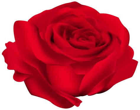 Rose Flower Clip Art Red Flower Png Download 80006305 Free