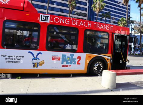 Public Transportation Long Beach Transit Bus Los Angeles California