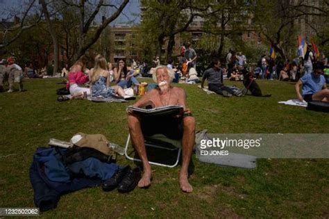 Tanning Reflector Photos And Premium High Res Pictures Getty Images