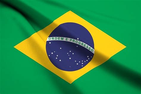 Brasiliense futebol clube) は、ブラジル・ブラジリア連邦直轄区・タグアチンガを本拠地とするサッカークラブである。 ユニフォームが黄色のため、ブラジリエンセのサポーターはフェブレ・アマレラ（febre amarela. ブラジルと日本の文化の違いpart3｜海外Tips☆DIYエコスローライフ