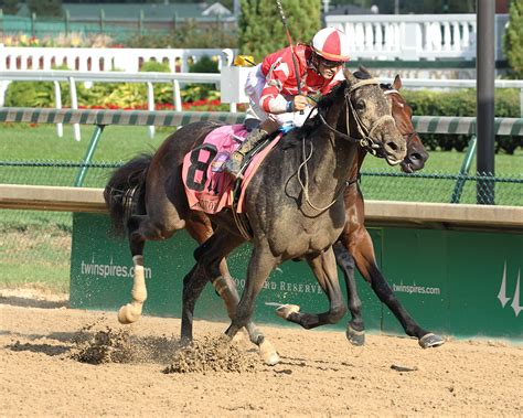 Check spelling or type a new query. Cairo Cat | 2020 Kentucky Derby & Oaks | September 4th and ...