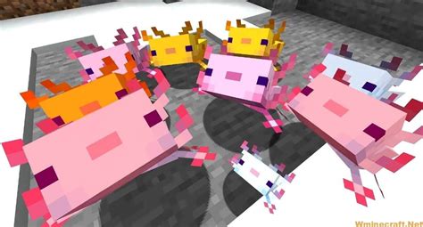 Minecraft 1.17 Snapshot Download - Snapshot 20w51a - Wminecraft.net