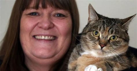 hero cat saved owner s life twice after odd behaviour led to breast cancer diagnosis daily record