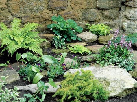 They all need good drainage think tiny when it comes to your rock garden plants. Make a Shady Rock Garden | Landscaping Ideas and Hardscape ...