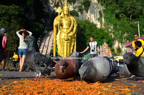 Check out their reviews and price info before you make a decision. Top 10 Places to Visit in Malaysia for VMY2014 - Travel ...