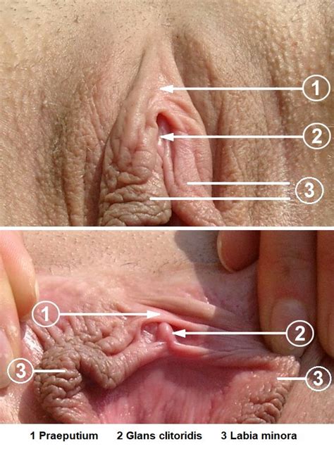 Over Sensitive Clitoris Porn Photos Sex Videos