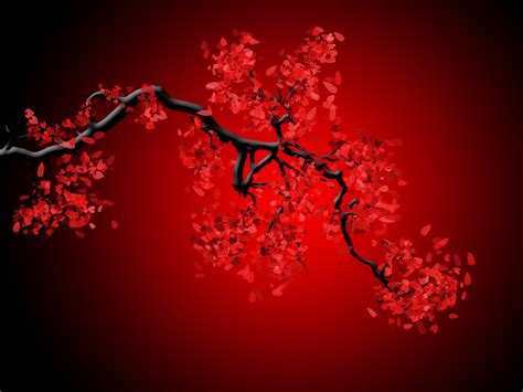 3492x4656 white car passing by sega building hd wallpaper>. Cherry Blossom Pictures Wallpaper - WallpaperSafari