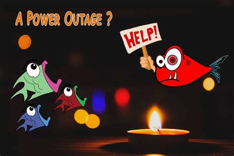 It makes a good food source if you have time on your hands. How To Keep My Fish Alive During A Power Outage - Fish ...