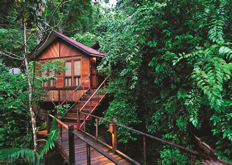 Shop for rent in johor bahru. 11 Treehouse Hotels In Malaysia For A True Escape Away ...
