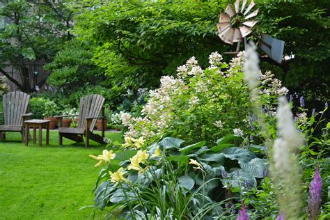 © raucous indignation, all the deer or the rabbits made snacks out of the two test hosta plants that we put in a flower bed. Life + Style: {dirt 60631} Summer Blooms