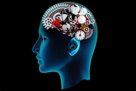 Researchers May Have Discovered How Memories Are Encoded In The Brain
