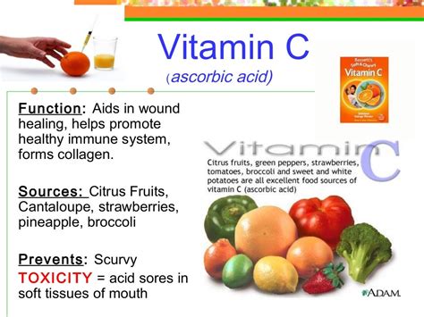 Fn1 Ppt Vitamins And Minerals