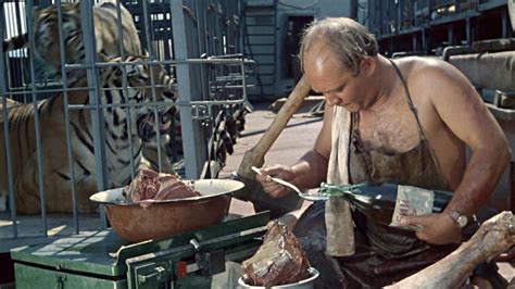 Вон та группа в полосатых купальниках. Полосатый рейс - 1961: актеры, рейтинг и отзывы на канале ...