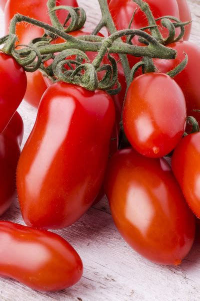 As soon as the tomato sprouts appear, move the plants to a brighter yet cooler location. 3 Great All Purpose Tomato Plants To Grow In Your Garden ...
