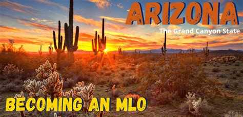 We did not find results for: Arizona Mortgage Loan Officer License Guide | Mortgage ...