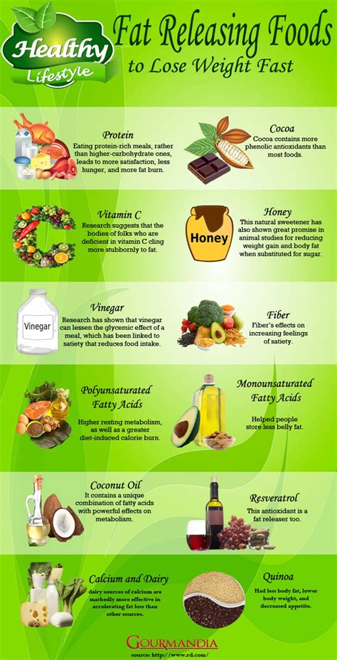 Infographic Fat Releasing Foods To Help Lose Weight