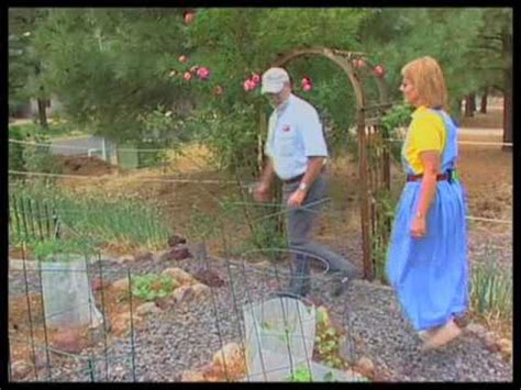 Apr 21, 2021 · while rabbits love to dine on impatiens, they will pass by the lookalike vinca plant, with its leathery leaves and tough stems. How To Choose Plants That Deer Won't Eat - YouTube