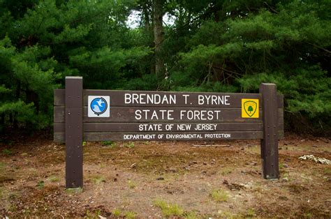 Today's forested acres are a strong contrast to the barren, cleared land that existed in the 1800s. Brendan Byrne State Forest: A Quick Guide