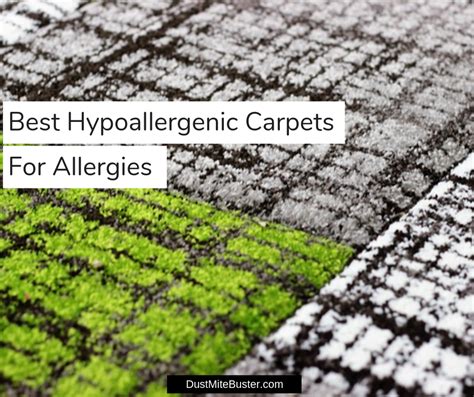Best Hypoallergenic Carpets And Rugs For Allergies 2020