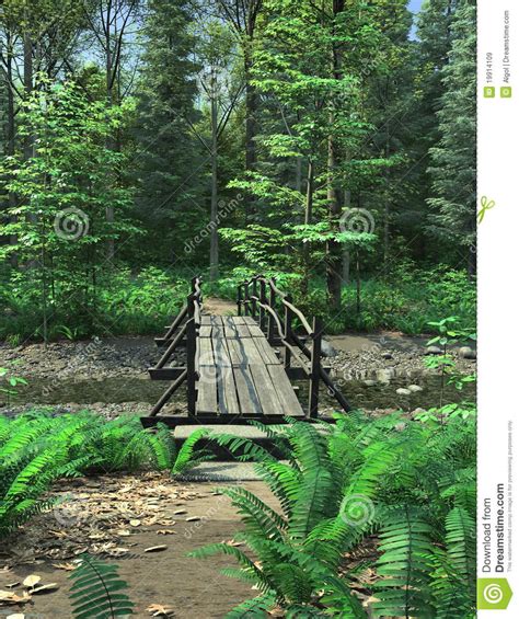 Woodland Path And Bridge Stock Illustration Illustration Of Pebbles