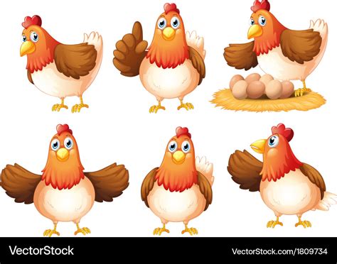 Six Egg Laying Hens Royalty Free Vector Image Vectorstock