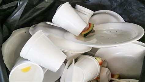 Some things you should just not put in your mouth. 9 Things That Never Decompose