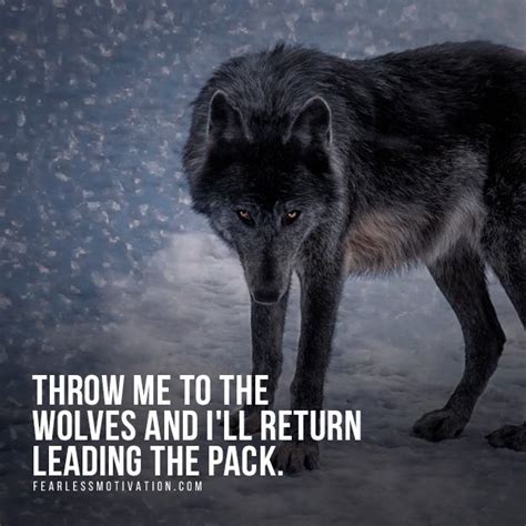 Alpha Wolves Quotes Gallery Quotes