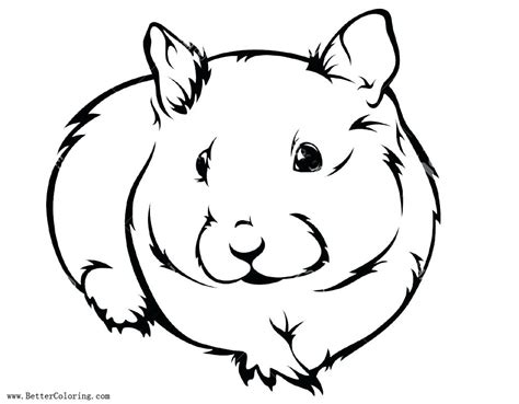 More than 20000 coloring books to print and painting. Easy Hamster Drawing | Free download on ClipArtMag