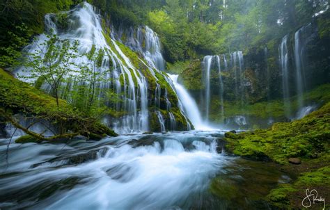 Wallpaper Forest Nature River Stones Moss Waterfalls Panther