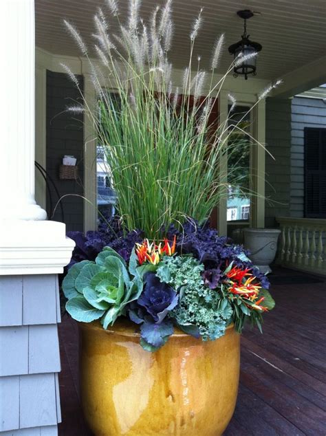 Seasonal Containers Jean Brooks Landscapes Containers Pinterest