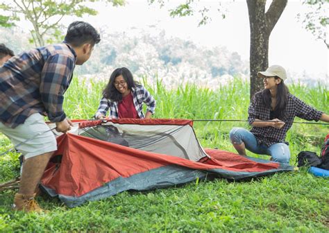 Pitch Camp A Tent 와 Set Up Camp Put Up A Tent 경제 포럼