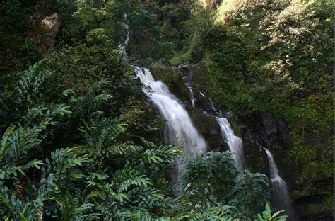 10 cheapest countries to live in latin america comfortably. Latin American Forests. List of countries in Latin America ...