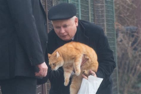 Nie od dziś wiadomo, że jarosław kaczyński jest miłośnikiem kotów. Wiemy dlaczego rudy kot tak lubi Jarosława Kaczyńskiego