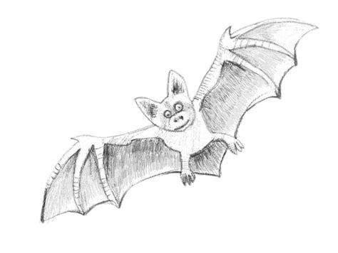 Sep 08, 2011 · how to draw a cartoon vampire bat with easy step by step drawing tutorial. How To Draw a Bat - Step-by-Step