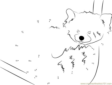 Please follow #iloveredpandas cheeky red panda cub at the woodland park zoo #redpanda #panda #cutebear #bear #animal #firefox #panda this spring, zoo atlanta lost a favorite resident: Graceful Red Panda dot to dot printable worksheet ...