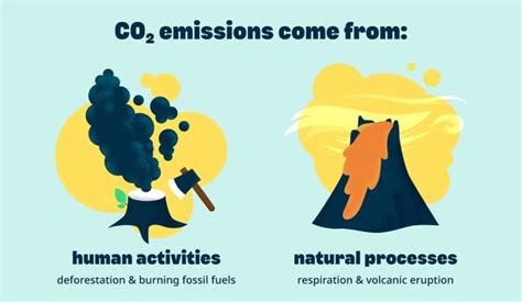 Everything You Need To Know About Carbon Dioxide Co2