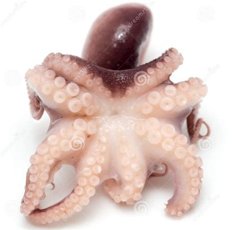 Shore Fresh Octopus 2kg Ghanas Foremost Online Grocery