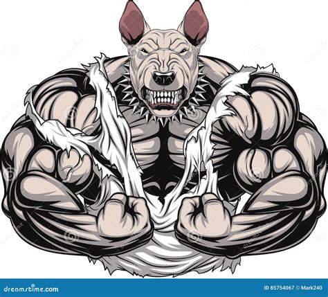 Angry Dog Bodybuilder Stock Vector Illustration Of Competition 85754067