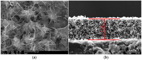 Coatings Free Full Text Porous Zinc Oxide Thin Films Synthesis Approaches And Applications