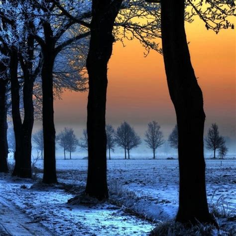 Hd wallpapers for pc full screen. 10 Latest Hd Wallpaper For Laptop Full Screen FULL HD 1920 ...